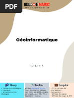 Geoinformatique-cours