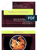 Fisiopatologia Ferida Cicatrizacao