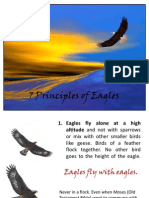 7 Principles of Eagle