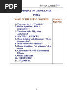 Ozone Layer Project