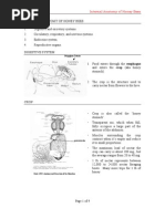 ENTO 489 Internal Anatomy of Honey Bees: Malpighian Tubules