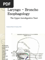 Laryngo Broncho Esophagology