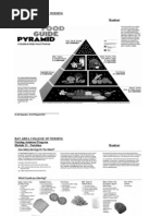 Mod11.Food Pyramid1.06.04