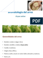 Bromatología Del Arroz