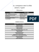 Diferencias y Semejanzas Entre La Célula Animal y Vegetal