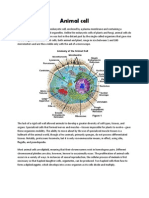 Cell Parts and Its Functions