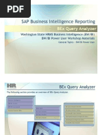 SAP Business Intelligence Reporting SAP Business Intelligence Reporting