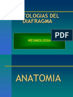 Patologias Del Diafragma Neumologia