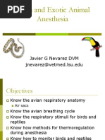 Avian and Exotic Animal Anesthesia