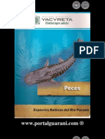 PECES - Especies Nativas Del Río Paraná - ENTIDAD BINACIONAL YACYRETA - Paraguay - PortalGuarani