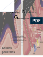 250 - Hormonas Neuropeptidos Gastrointestinales