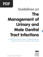 Urinary and Male Genital