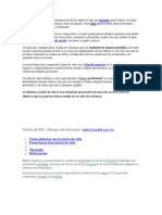 Un Plan de Vida Supone La Enumeración de Los Objetivos Que Una Persona Quiere Lograr A Lo Largo de Su Vida y Una Guía Que Propone Cómo Alcanzarlos