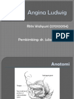 Ludwig Angina