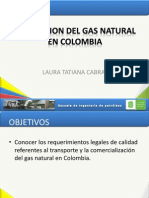 Regulacion Del Gas Natural - LTCC