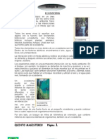 Folleto de Biologia 5