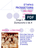 Etapas Productivas