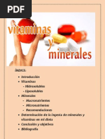 Vitaminas y Minerales