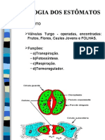 Fisiologia Dos Estomatos 2