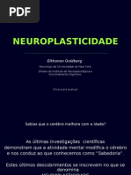 Neuroplasticidade