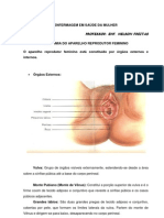 Anatomia Do Aparelho Reprodutor Feminino