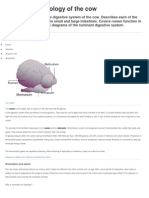 Digestive Physiology of The Cow