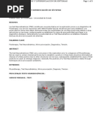 Test Neurodinamicos