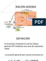 Respiración Aerobia