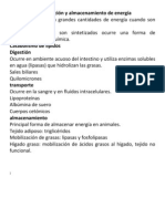 Lípidos en La Producción y Almacenamiento de Energía