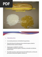 Presentación Estructura y Composición Nutricional de Los Cereales