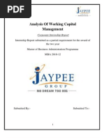 Project Report On Jaypee