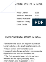 Environmental Issues in India