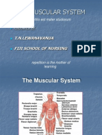 Class 2012 - Muscular System - 2