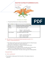 The Sexual Reproductive System of Flowering Plants