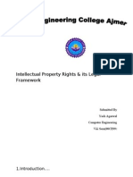 Intellectual Property Rights