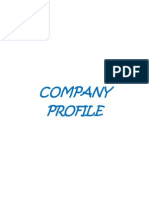 Company Profile2