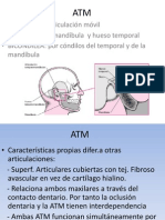 Atm 2006