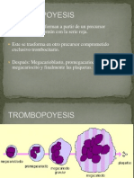 Trombopoyesis T - 3