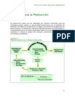 1 Técnicas para PML