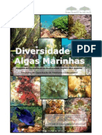 Diversidade Algas Marinhas Ingrid Balesteros