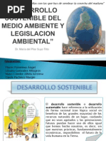 Desarrollo Sostenible Del Medio Ambiente