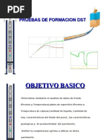 DST Presentacion General de Testing