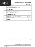 Final Micro Finance