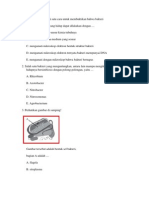 Soal Eubacteria
