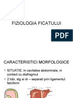 Fiziologia Ficatului