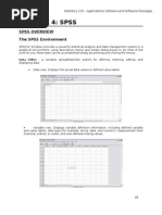 Chapter 4: SPSS: Spss Overview The SPSS Environment