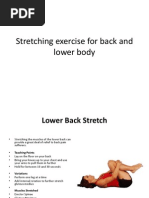 Stretching Exercise For Back and Lower Body