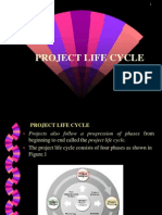 Chapter 3 Project Life Cycle