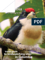 Travel Guide Colombian Birds