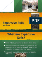 Expansive Soils